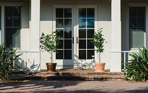 citrus trees outside house