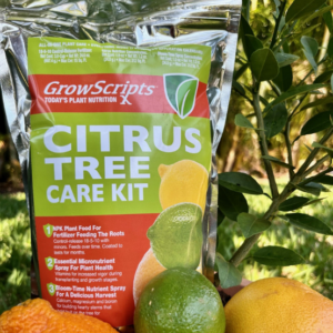 1 Year Citrus Tree Care Kit