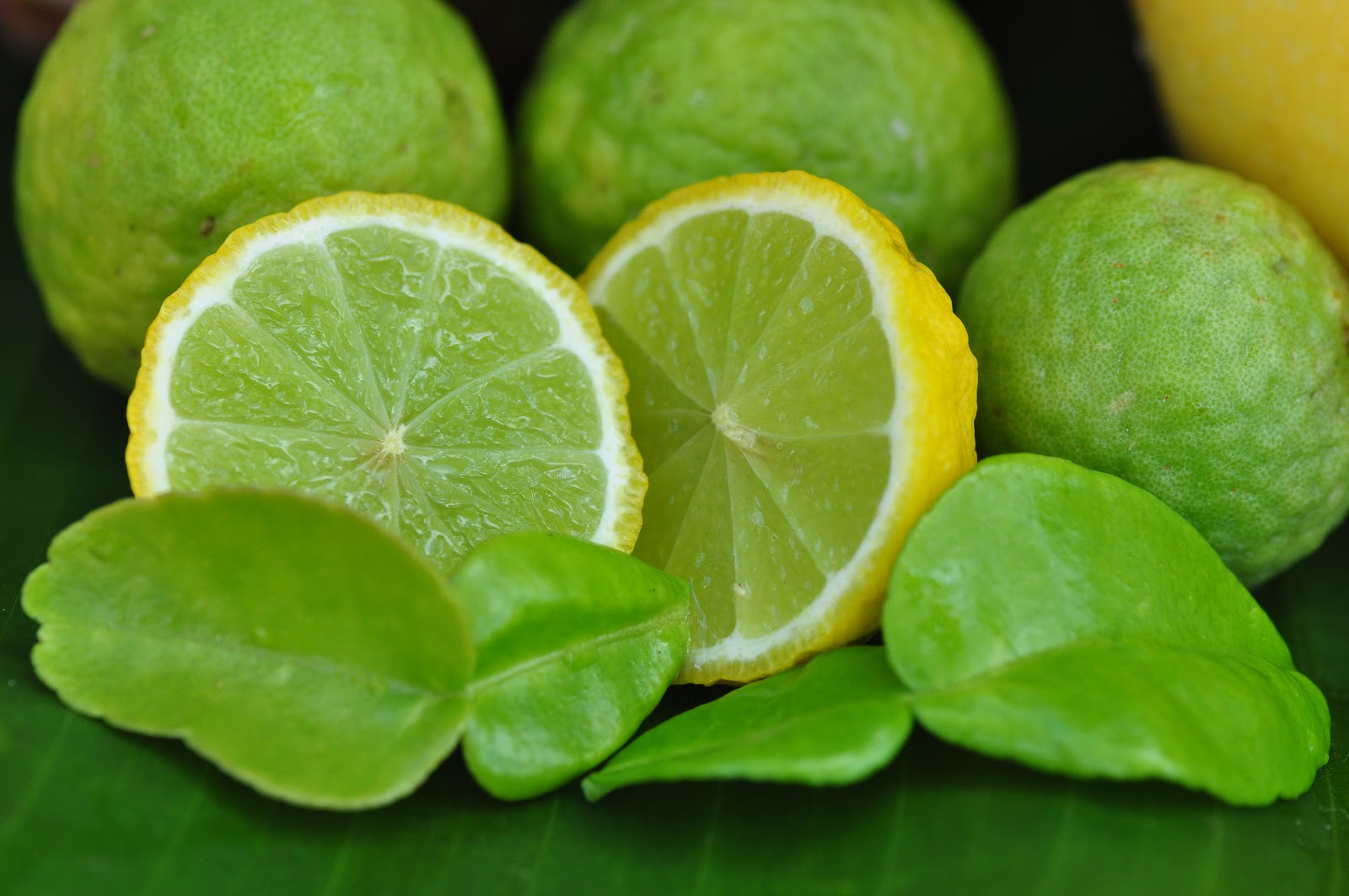 are lemon and lime poisonous to dogs