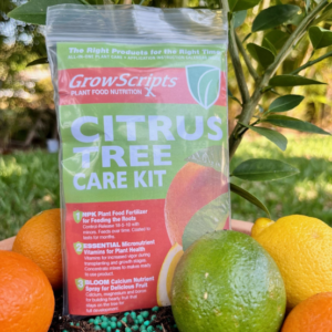 3 Month Citrus Tree Care Kit