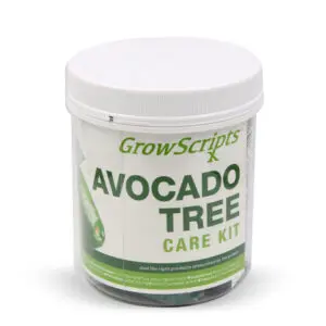 AvocadoTreeCareKit