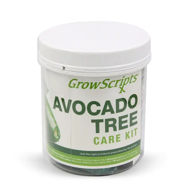 1 Year Avocado Tree Care Kit