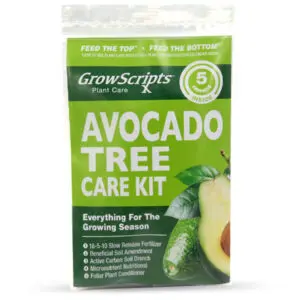 AvocadoTreeCareMix