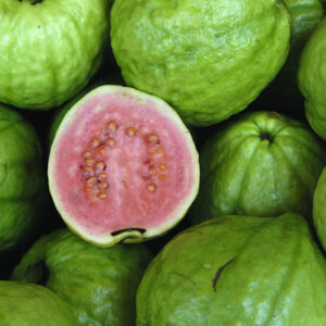 Barbie-Pink-Guava-Tree