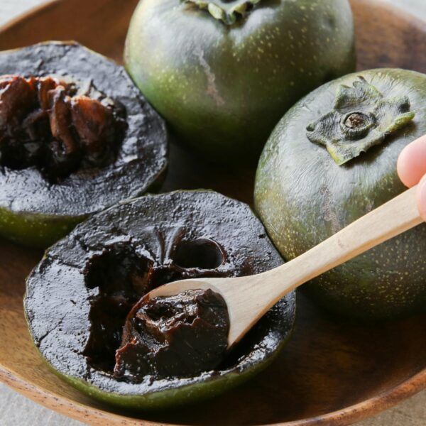 Black Sapote tree 1