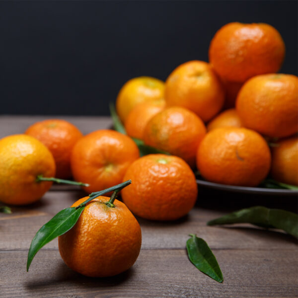 Dwarf-Owari-Satsuma-Tree-04