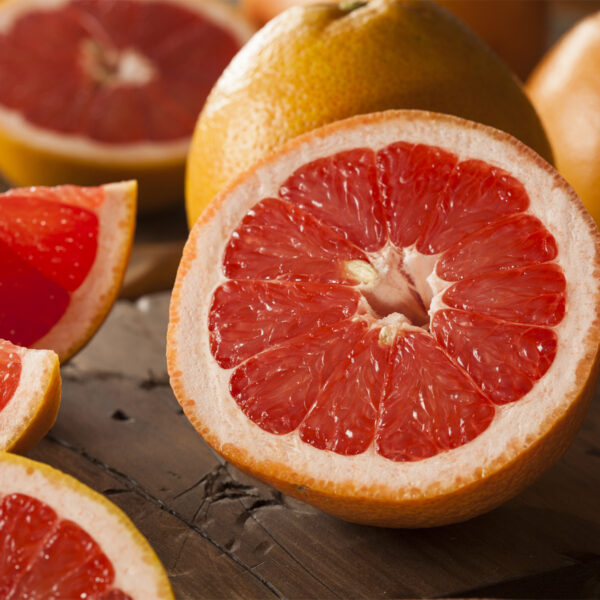 Dwarf-Ruby-Red-Grapefruit-Tree-07