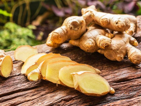 Edible-Ginger-Root-Plant-2