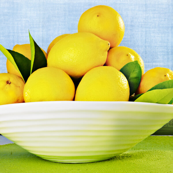 Eureka-Lemon-Tree-02