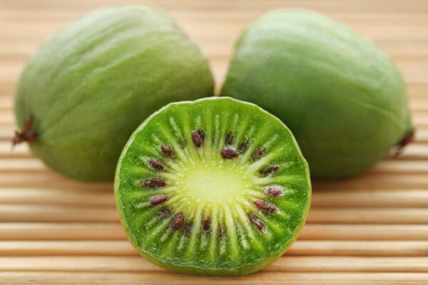 Issai-Kiwi-vine