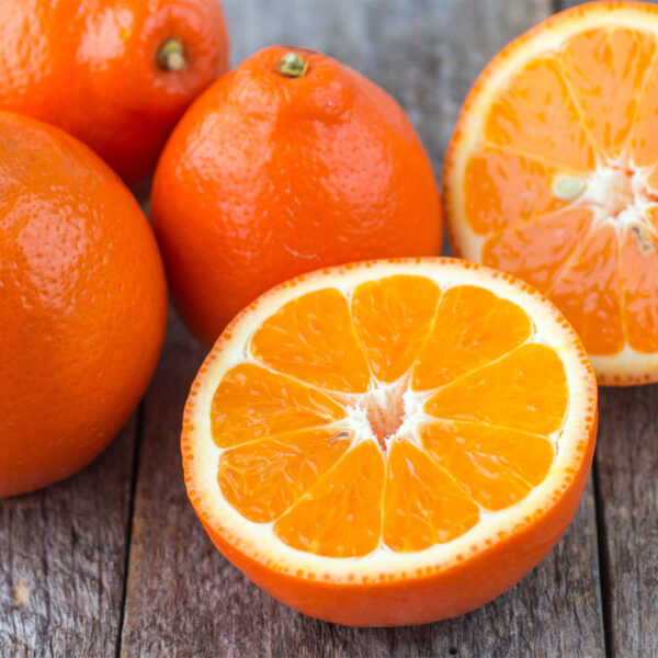 Minneola-Honeybell-Tangelo-Tree-03