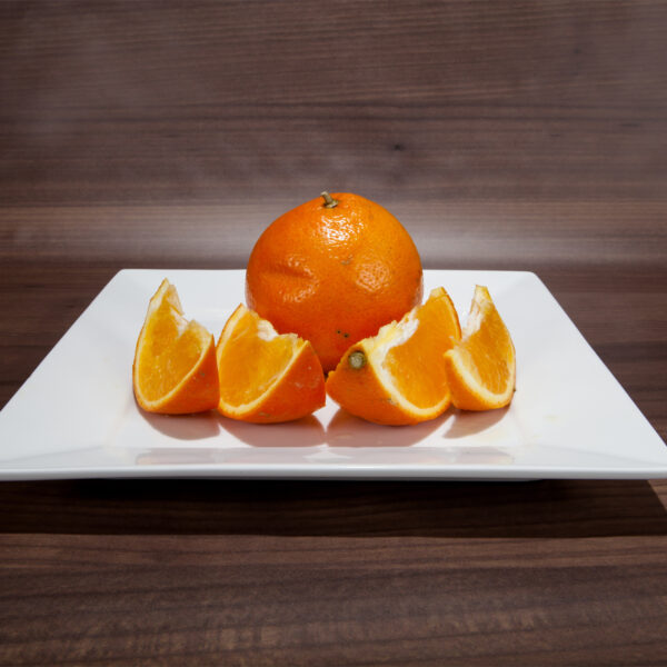 Minneola-Honeybell-Tangelo-Tree-04
