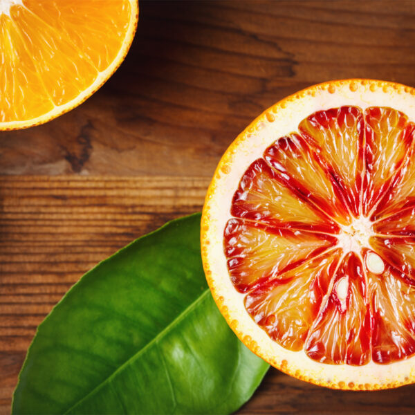 Moro-Blood-Orange-Tree-02-1