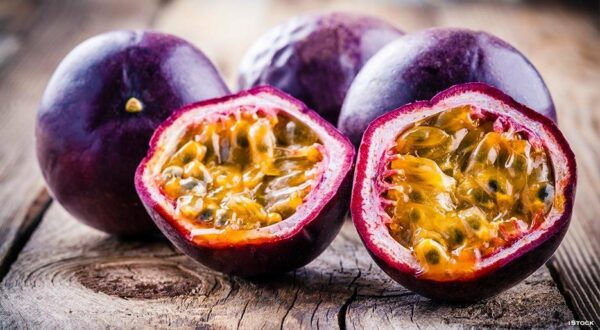 Passion-Fruit-Possom-Purple-plant-1