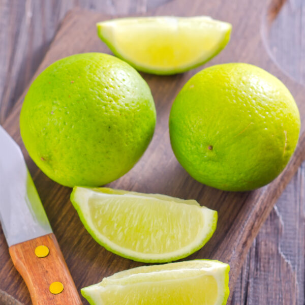 Persian-Lime-Tree-01-1