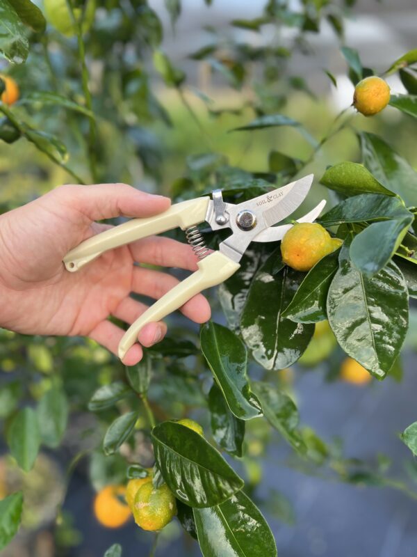 Pruning_Shears2