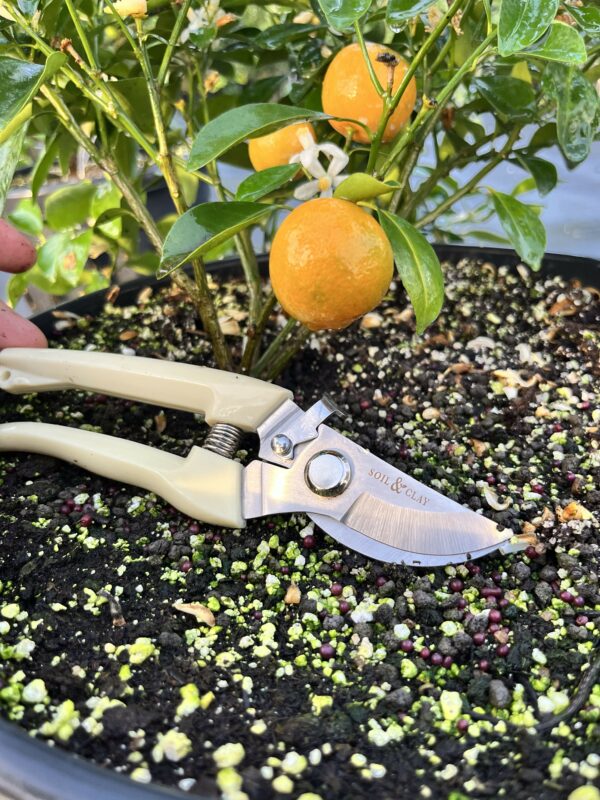 Pruning_Shears3