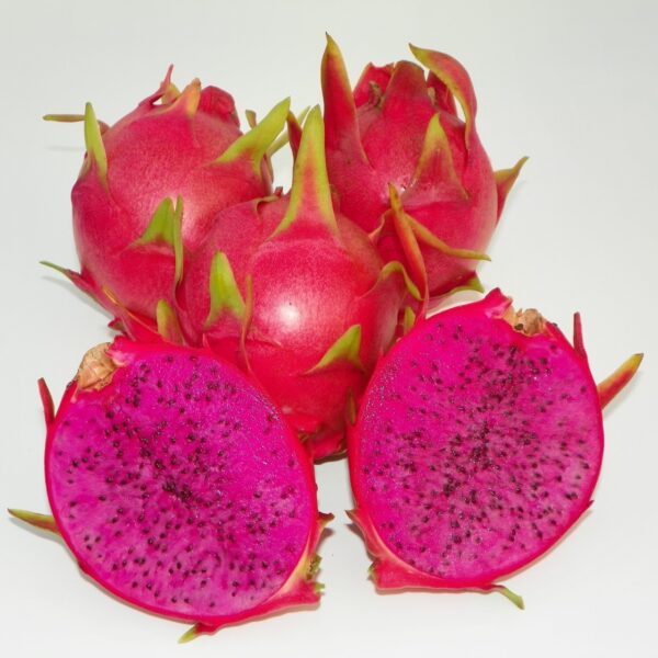 Purple Haze Dragon Fruit