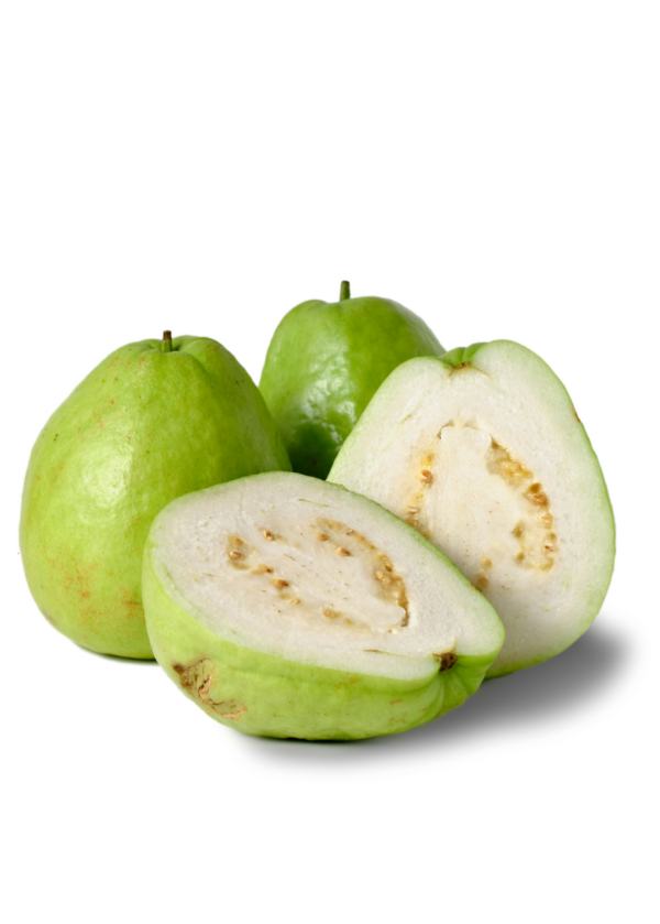 Thai White Guava Tree 1