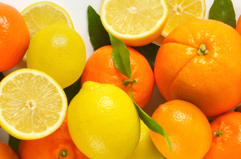 Citrus companies to buy from