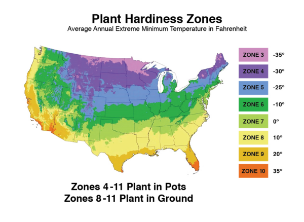 USDA-growing-zones-citrus-trees
