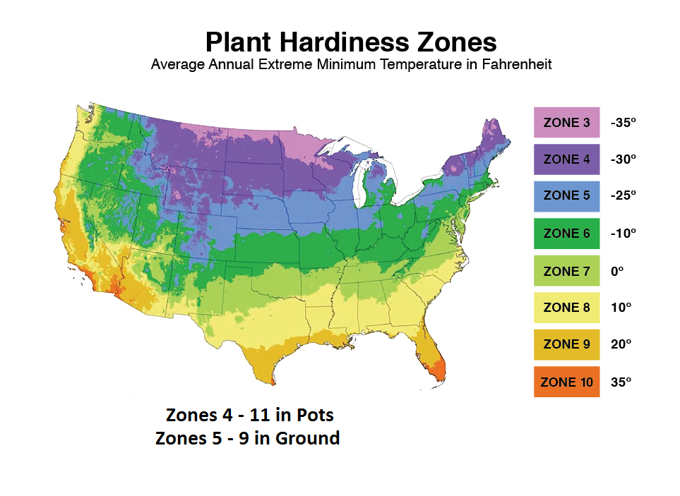 Plant Growing Zones