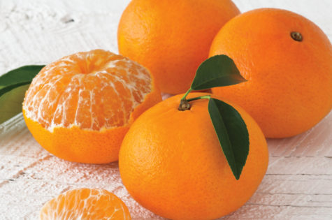 Why Navel Oranges are the Best Gift For Your Loved Ones