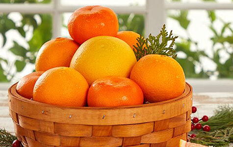 citrus basket