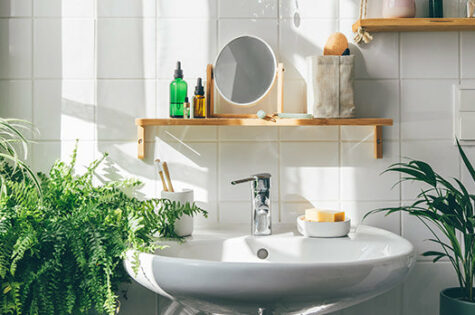 Style bathroom with plants