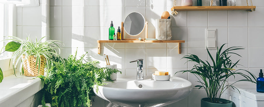 Style bathroom with plants