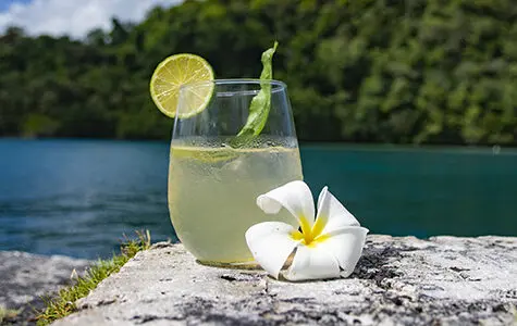 calamansi margarita recipe - yarden