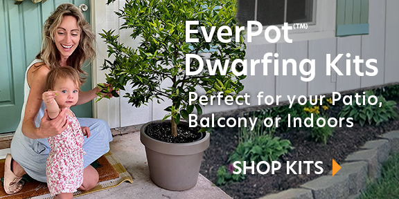 Everpot Growing System