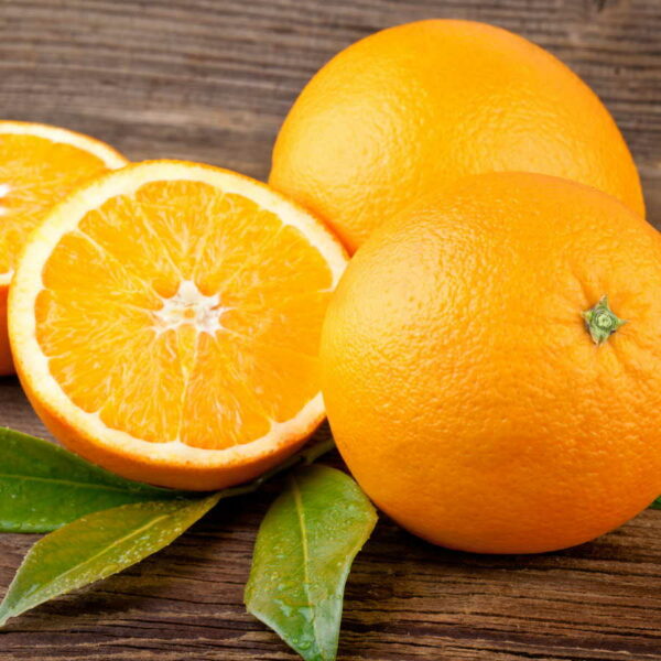 glen-navel-orange-tree