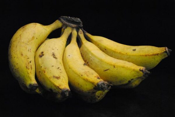 gran-nain-banana-plant-1