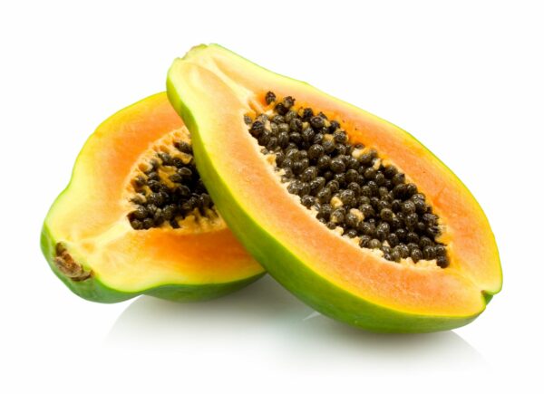 papaya-tree-2