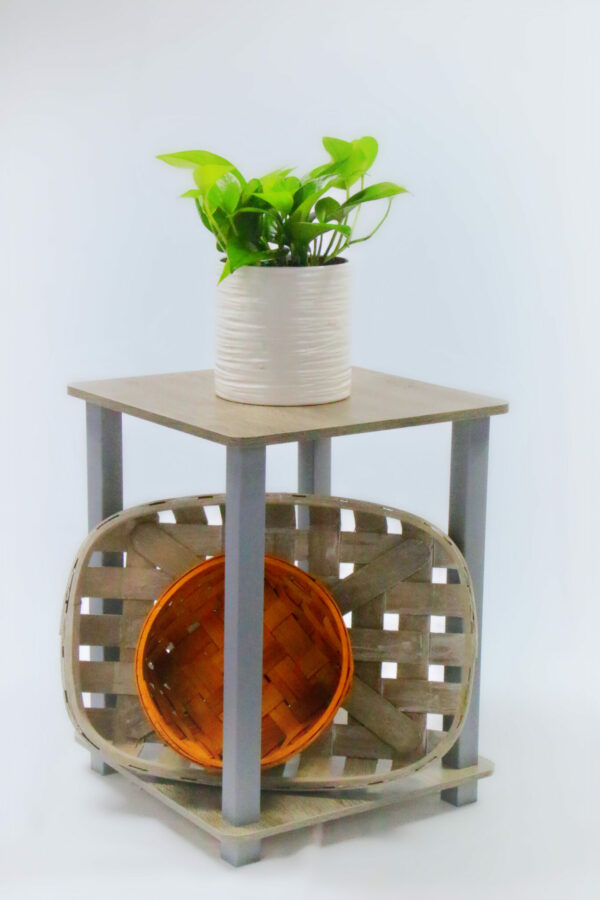 Pothos - Jade