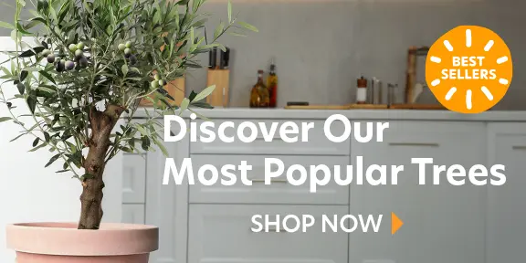 best sellers