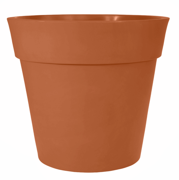 small-pot-Terracotta