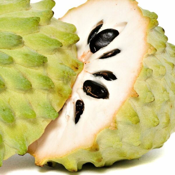 soursop-guanabana-tree-1