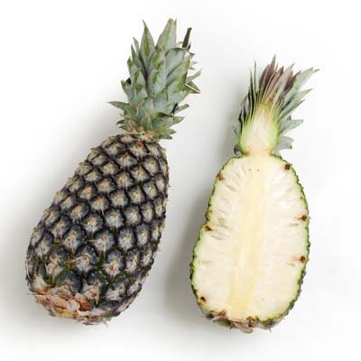 Sugarloaf Pineapple Plant (Height: 6 - 10 IN)