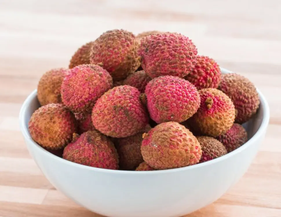 Sweetheart Lychee Tree (Height: 2 - 3 FT)