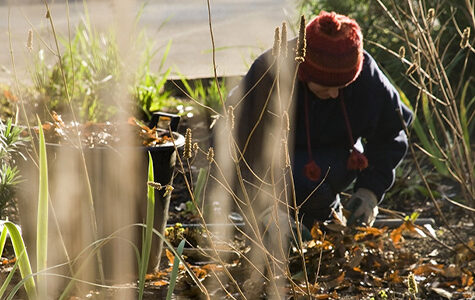 Gardener,Tending,Garden